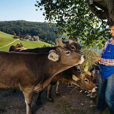 Mair Am Graben Farm * Chalets Terento Esterno foto