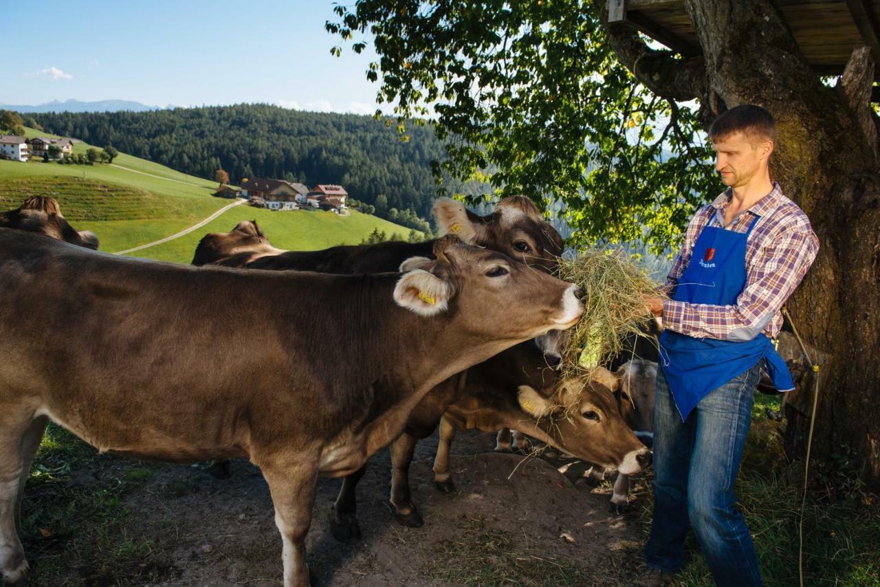 Mair Am Graben Farm * Chalets Terento Esterno foto